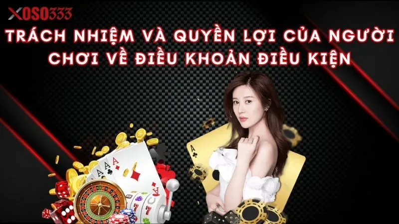 trach-nhiem-va-quyen-loi-cua-nguoi-choi-ve-dieu-khoan-dieu-kien
